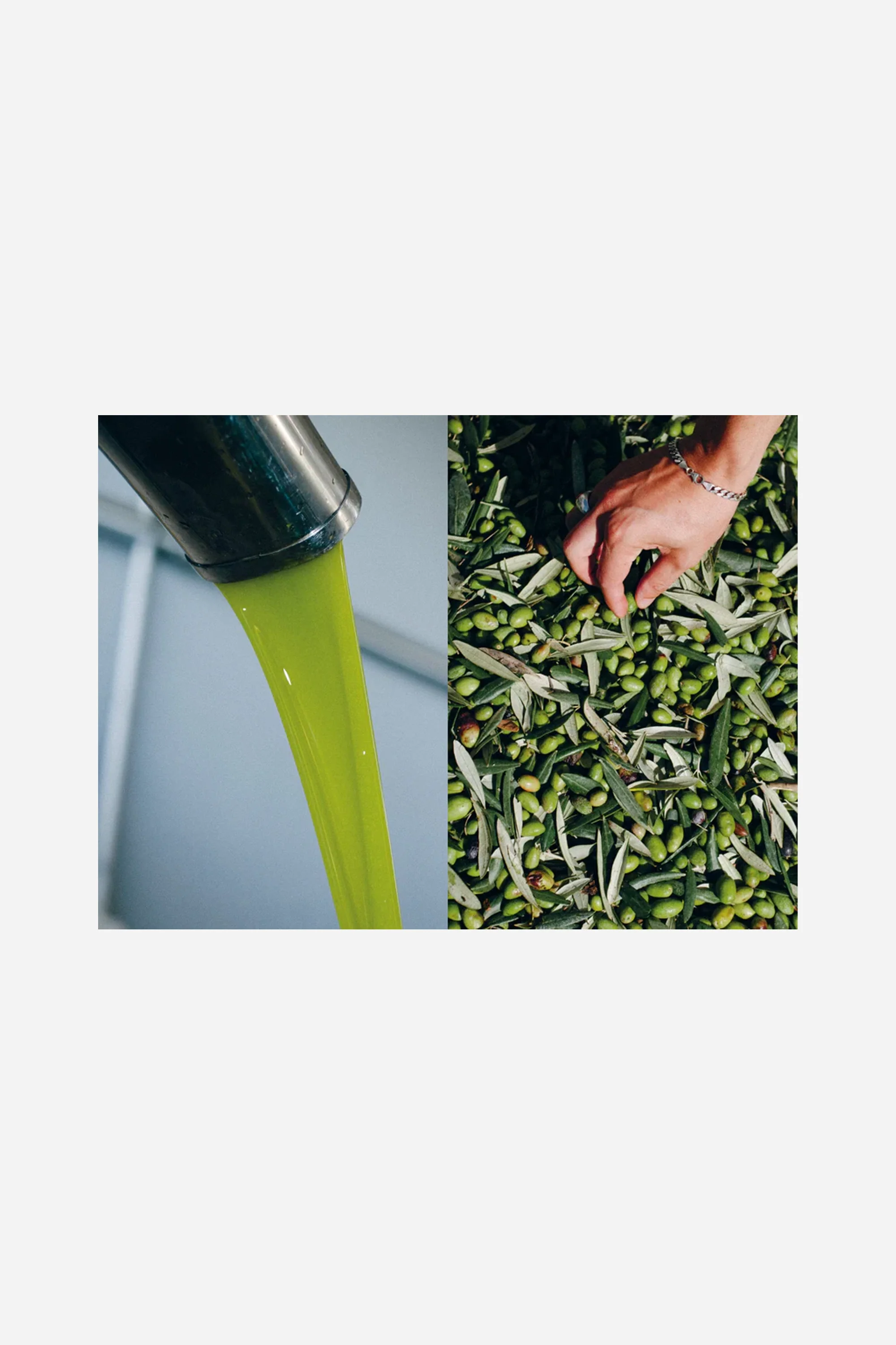 A Book About Olive Oil - Image 3