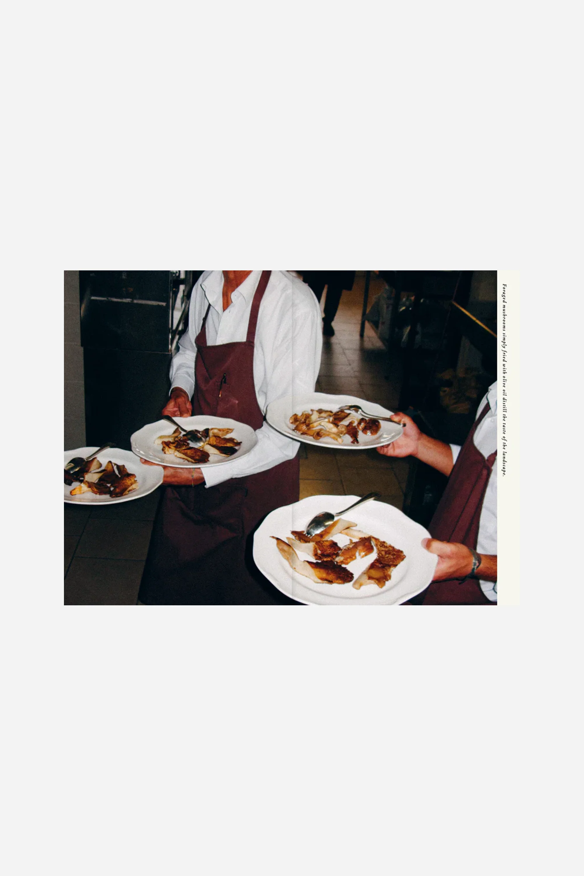 A Book About Olive Oil - Image 4